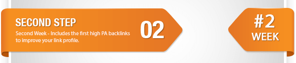 Ranking Guide Buy Backlinks Step 2