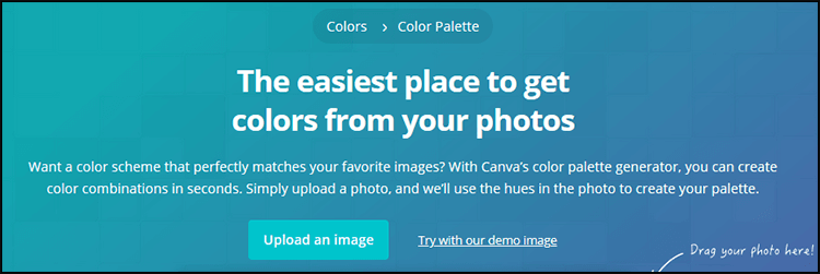 Content Marketing in SEO: Canva Palette