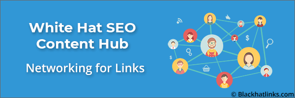 Whitehat SEO Link Building: Networking