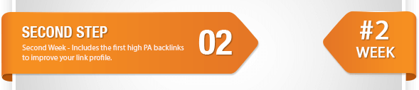 Buy Backlinks with the Ranking Guide Step 2 Purchase Links with the Ranking Guide Step 2